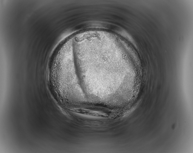 X0000086281125200704191940