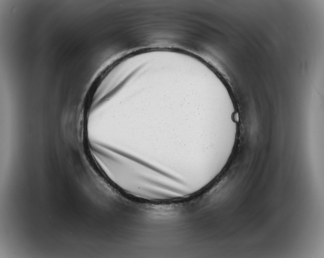 X0000086281126200704191940