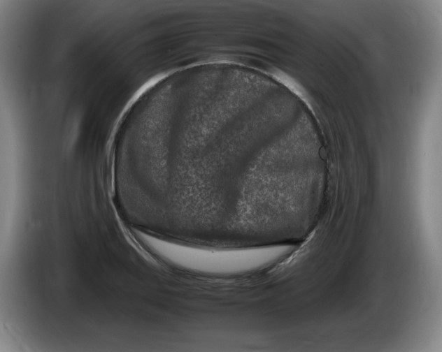 X0000086281127200704191940