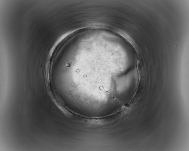 X0000086281128200704191940