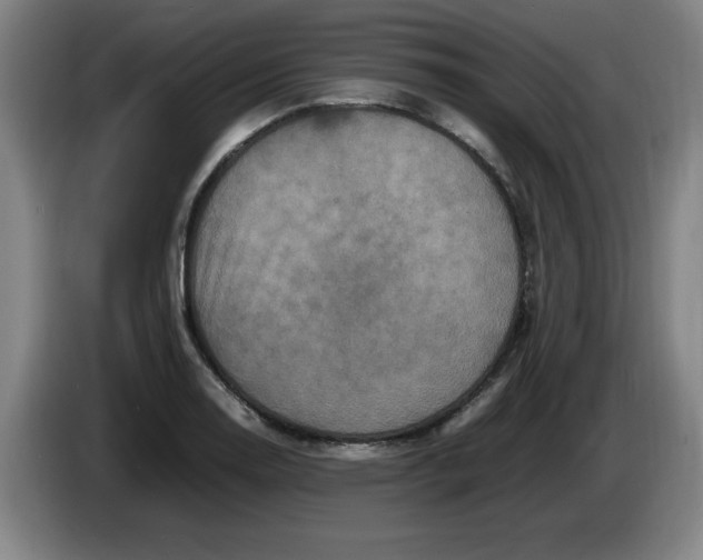 X0000086281130200704191940