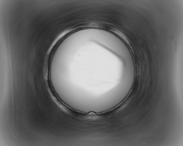 X0000086281131200704191940