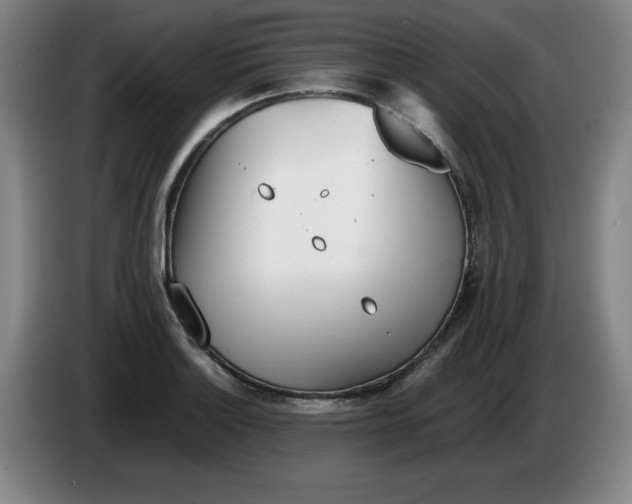 X0000086281132200704191940