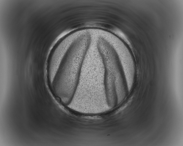 X0000086281133200704191940