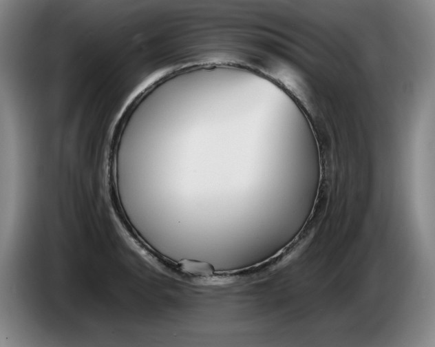 X0000086281134200704191940