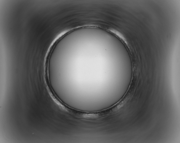 X0000086281135200704191940