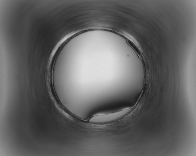 X0000086281136200704191940