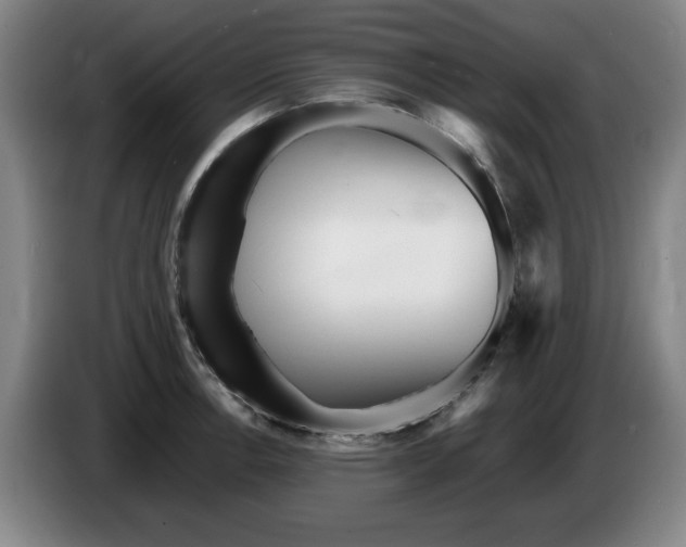 X0000086281138200704191940