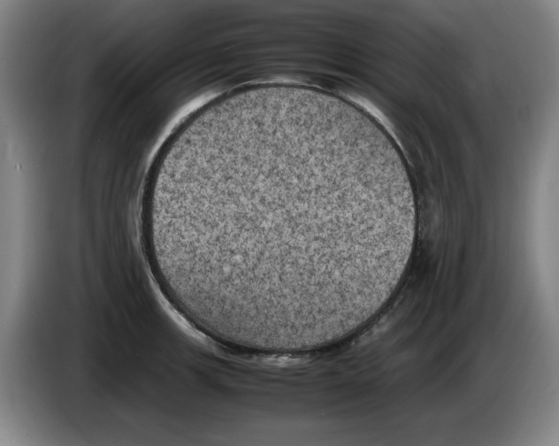 X0000086281139200704191940