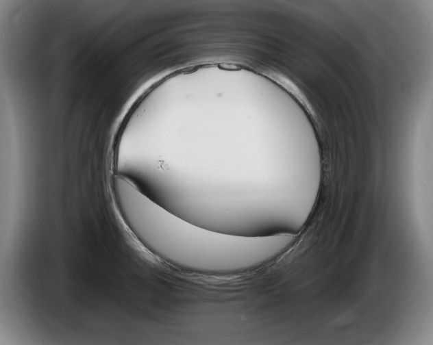 X0000086281140200704191940