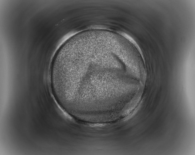 X0000086281141200704191940