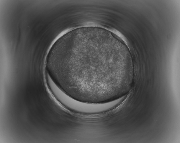 X0000086281142200704191940