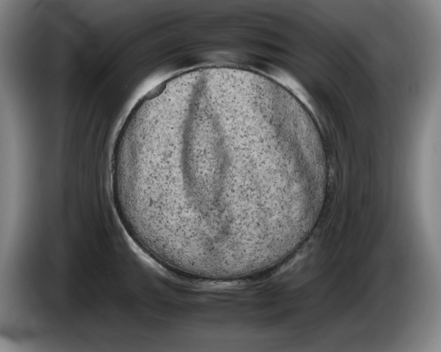 X0000086281143200704191941