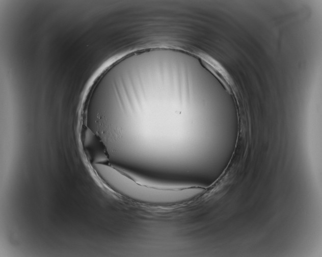 X0000086281144200704191941