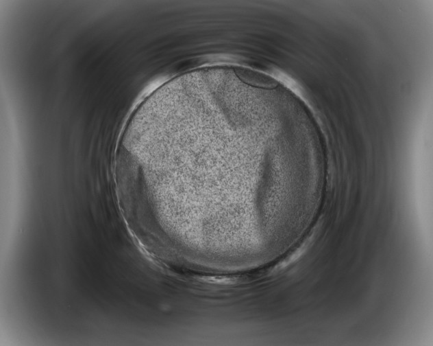 X0000086281145200704191941