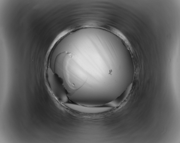 X0000086281146200704191941