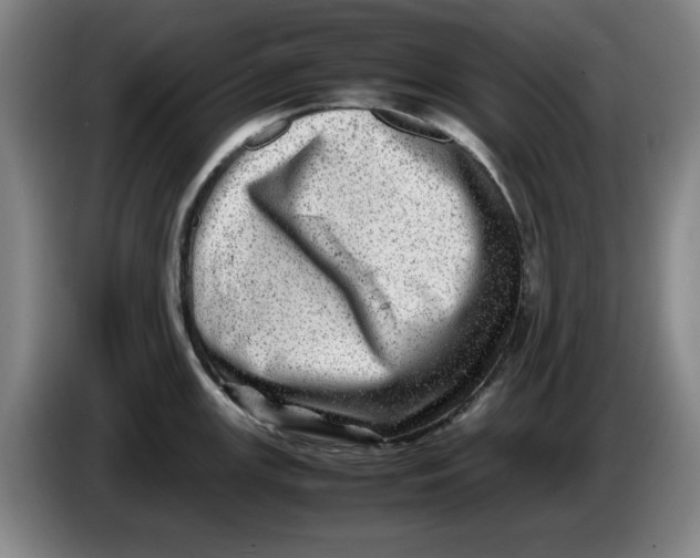 X0000086281147200704191941