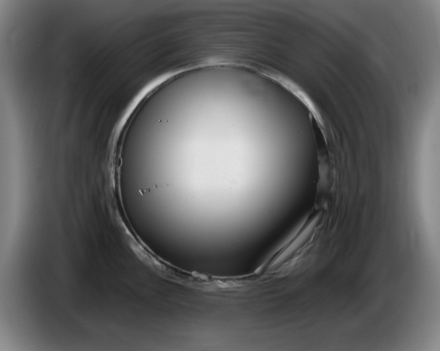 X0000086281148200704191941