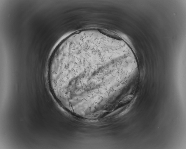 X0000086281149200704191941