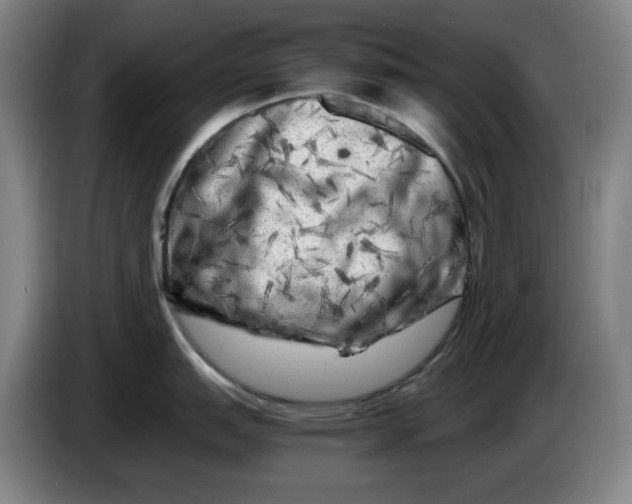 X0000086281151200704191941