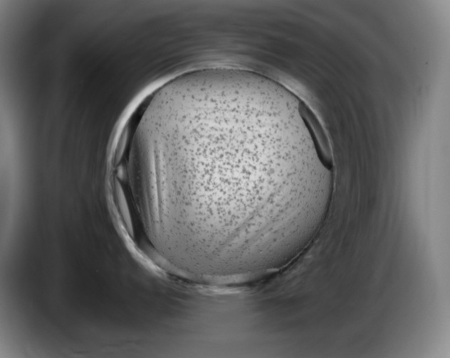 X0000086281152200704191941