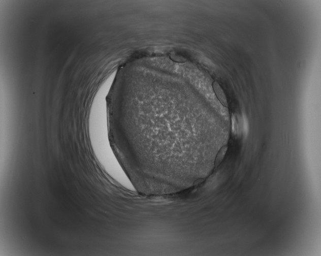 X0000086281155200704191940