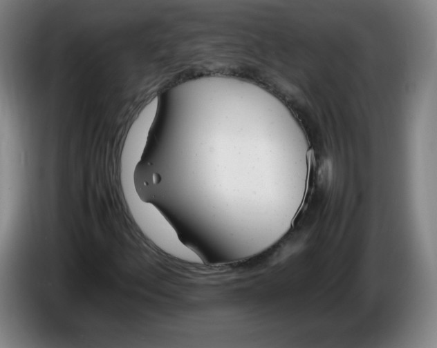 X0000086281156200704191940