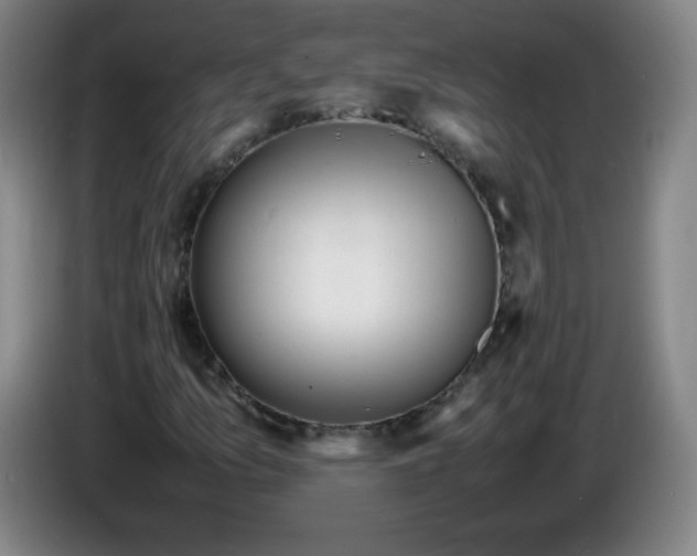 X0000086281157200704191940