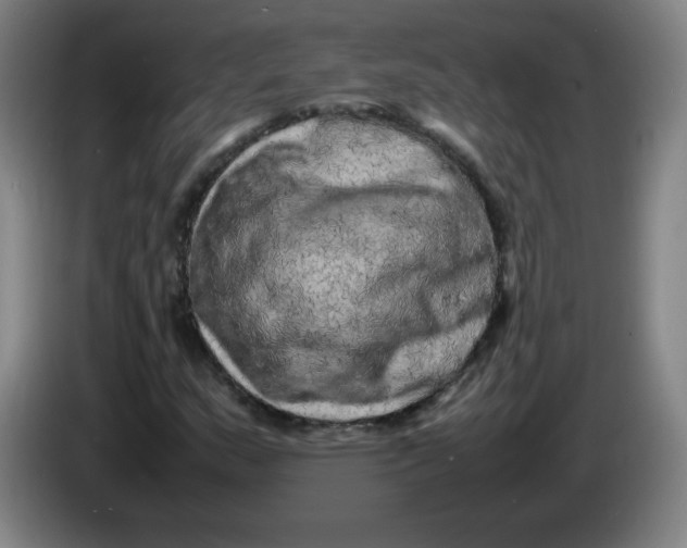 X0000086281159200704191940