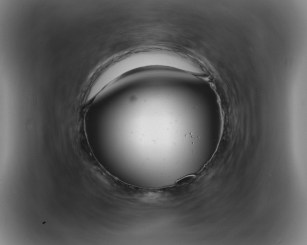 X0000086281160200704191940