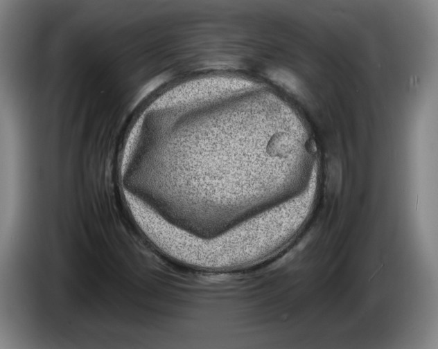 X0000086281162200704191940