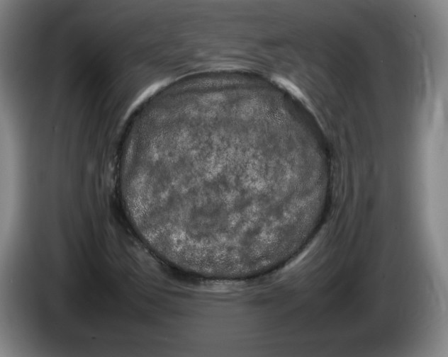 X0000086281163200704191940