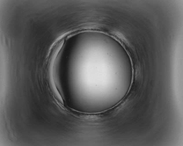 X0000086281164200704191940