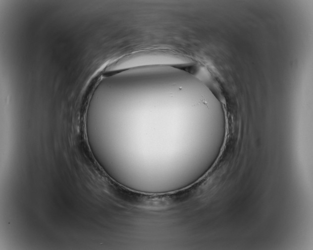 X0000086281165200704191940