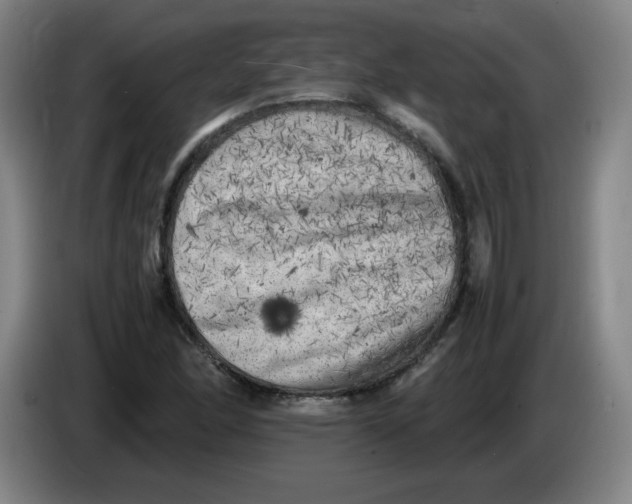 X0000086281166200704191940