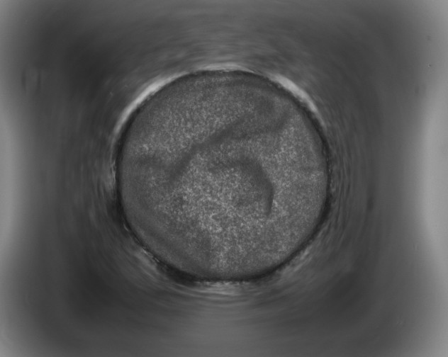 X0000086281167200704191940