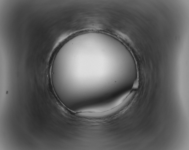 X0000086281168200704191940