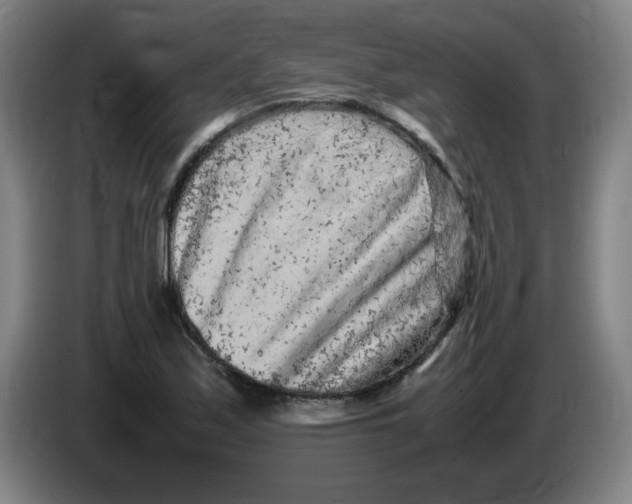 X0000086281171200704191940