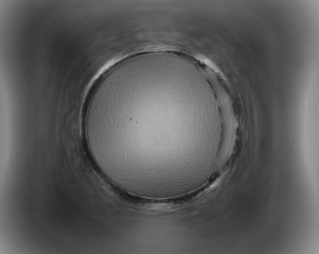 X0000086281173200704191940