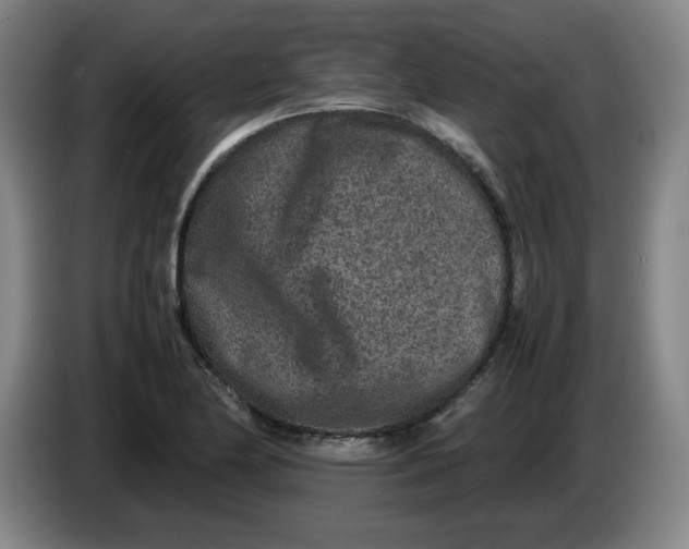 X0000086281174200704191940