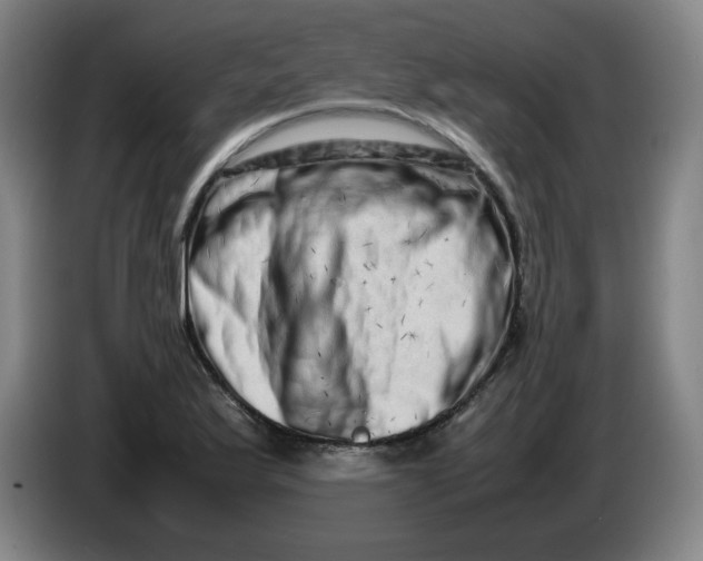 X0000086281175200704191940