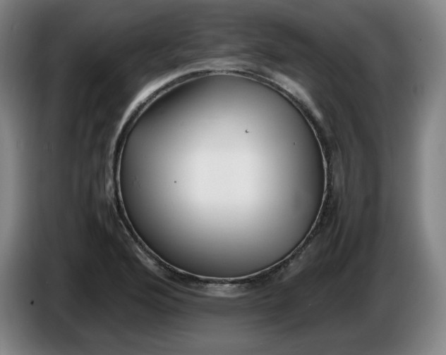 X0000086281176200704191940