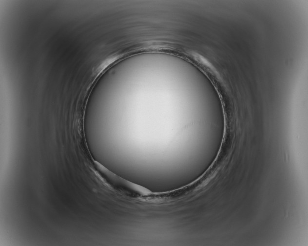 X0000086281177200704191940