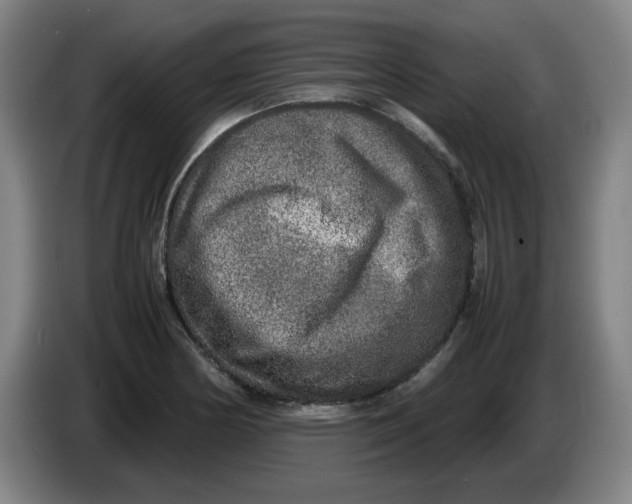 X0000086281178200704191940