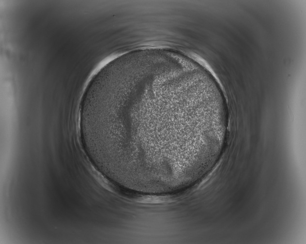 X0000086281179200704191940