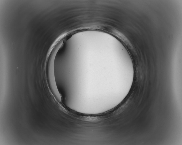 X0000086281180200704191940