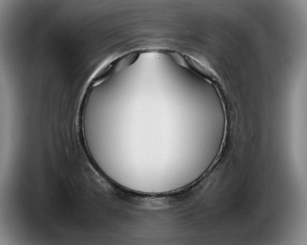 X0000086281181200704191940