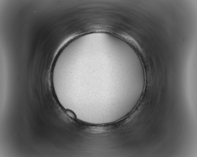 X0000086281182200704191940