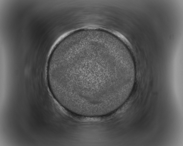 X0000086281183200704191940