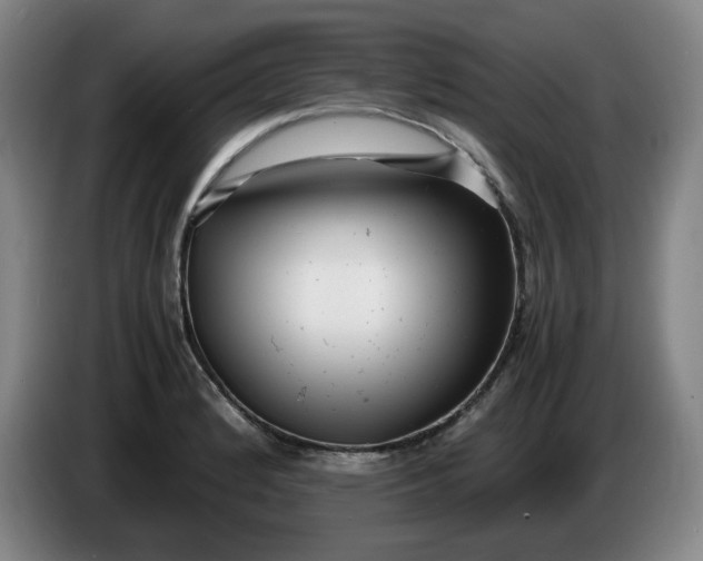 X0000086281184200704191940